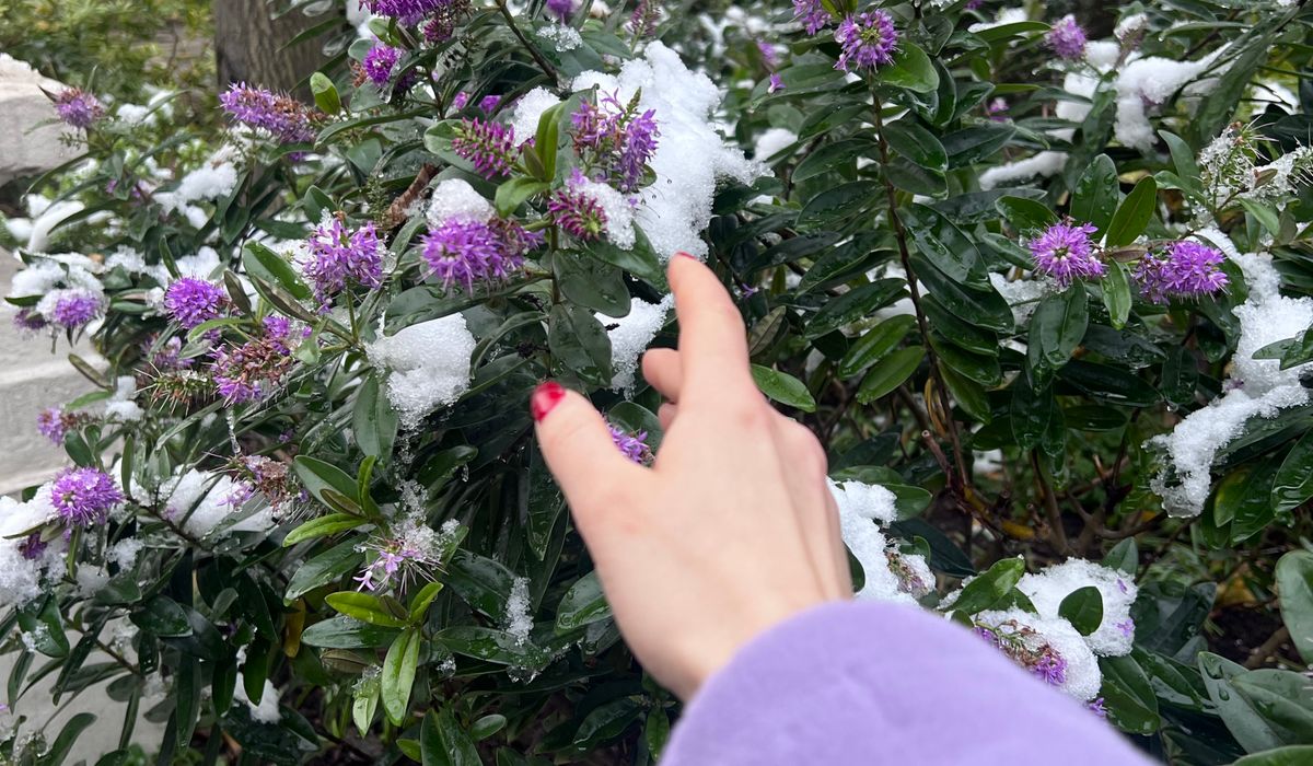 How to Protect Pots and Containers from Freezing